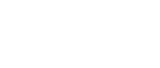Lisan SEO Danışmanlığı
